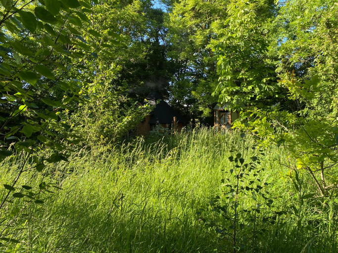 Others 5, The Hobbit House and Secret Garden, Somerset