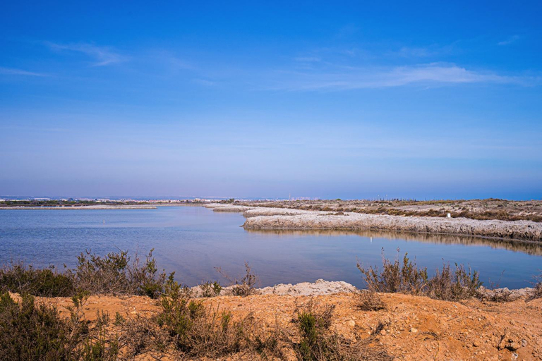 4, Zanzibar, Alicante