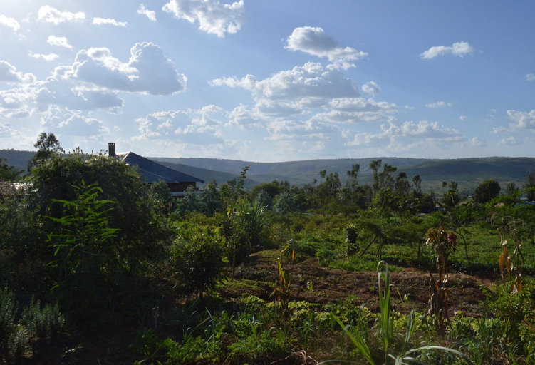 Others 4, Rutete Eco Lodge, Kayonza