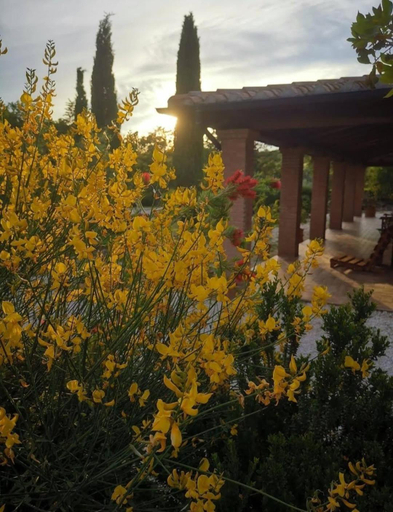 Others 5, Casale Terre Rosse Garden, Grosseto
