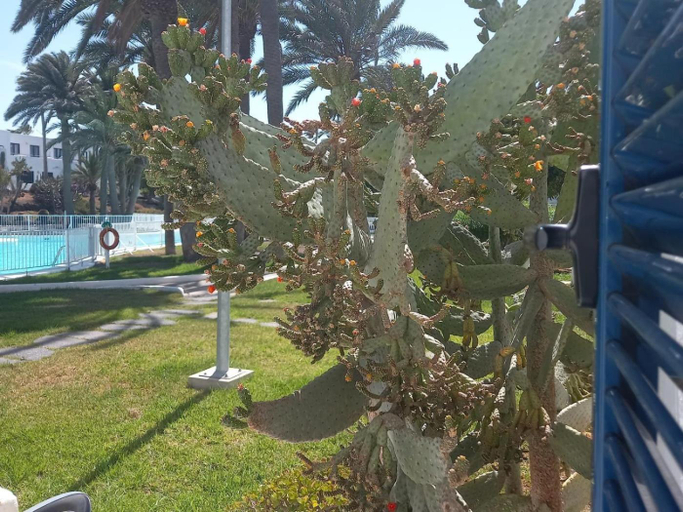 Others 5, Los Barqueros 9 by Best Holidays Fuerteventura, Las Palmas