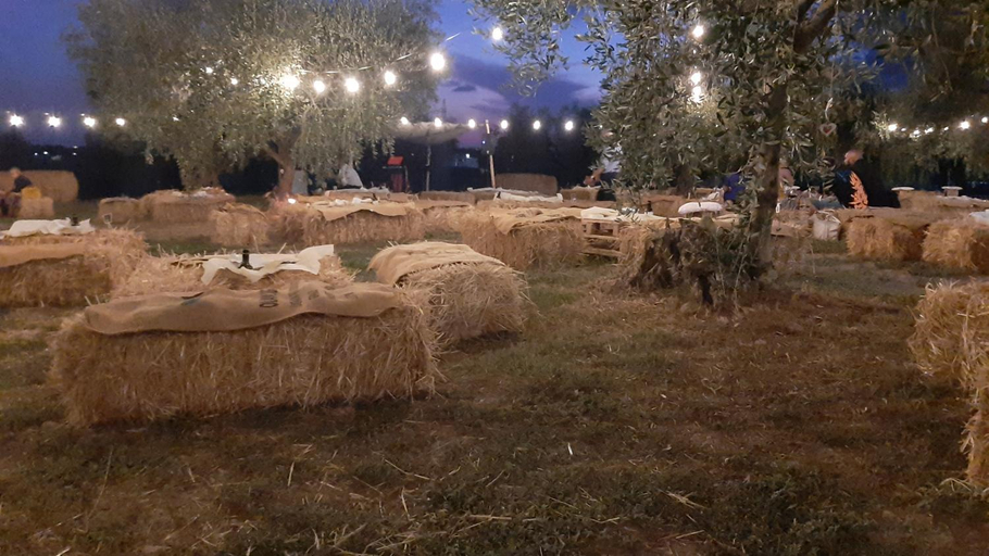 Food & Drinks 4, beucarnea apartment salerno, Salerno