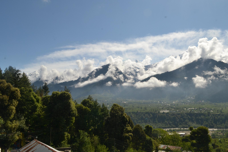Others 5, Juniper Home Stay, Kullu