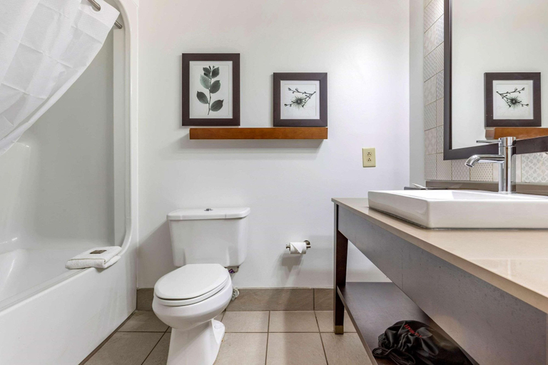Bathroom 5, Country Inn & Suites by Radisson, Lumberton, NC, Robeson