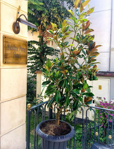 Public Area 3, Sublime Porte Hotel., Fatih