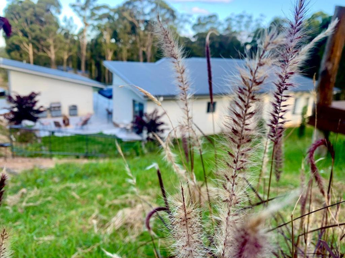 Others 3, Mountain Valley, Eurobodalla