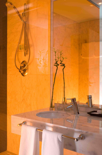 Bathroom 3, Executive Sport, Murcia