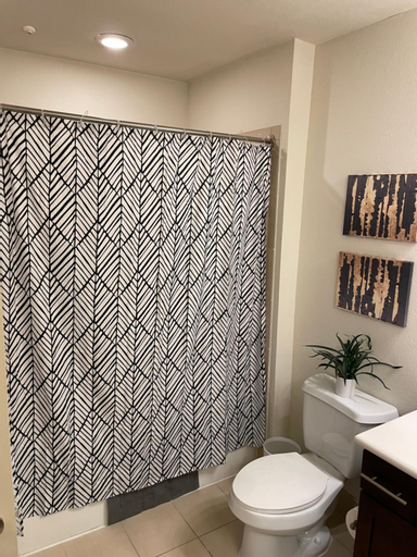 Bedroom, 2bedroom 1Bath 10 mins to Texas Medical, Harris