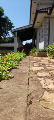 Exterior & Views 2, Aivilo Home, Entebbe