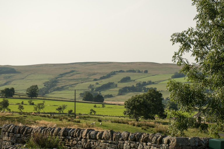 Surrounding environment