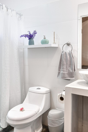 Bathroom 4, Elena Brown, Talamanca
