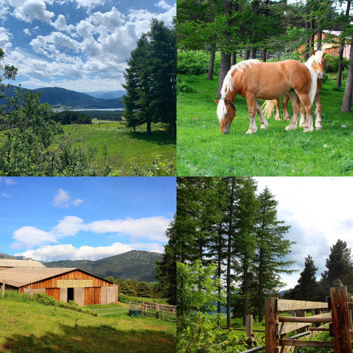 Others 4, Gite Ranch Le Serpolet, Pyrénées-Orientales