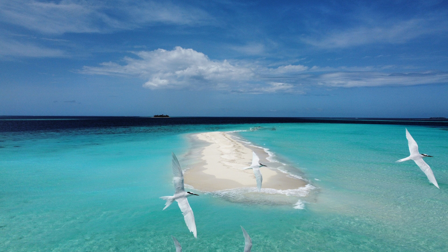 Others 4, Kihaa Holiday Home, Baa Atoll
