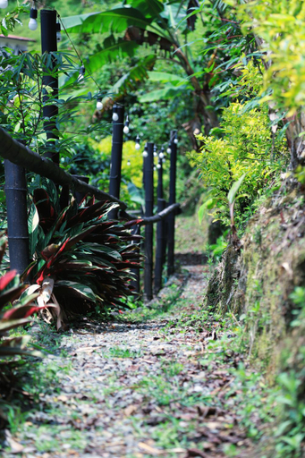Others 5, Glamping Casa Viva, Pereira