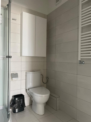 Bathroom 4, Lakeview 2 Room Penthouse Rooftop Terrace W15, Municipiul Bucuresti