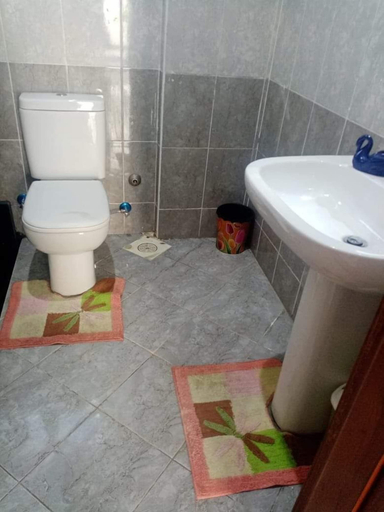 Bathroom 2, Al makramia compound, Al-Ghurdaqah