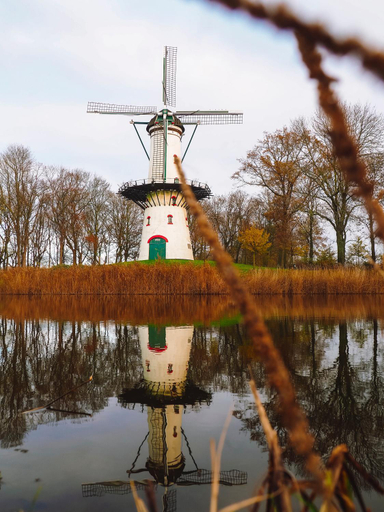 Others 3, B&B Tholen, Tholen