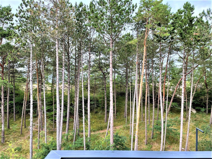 Others 4, ApartamentyRogowo Com, Kołobrzeg