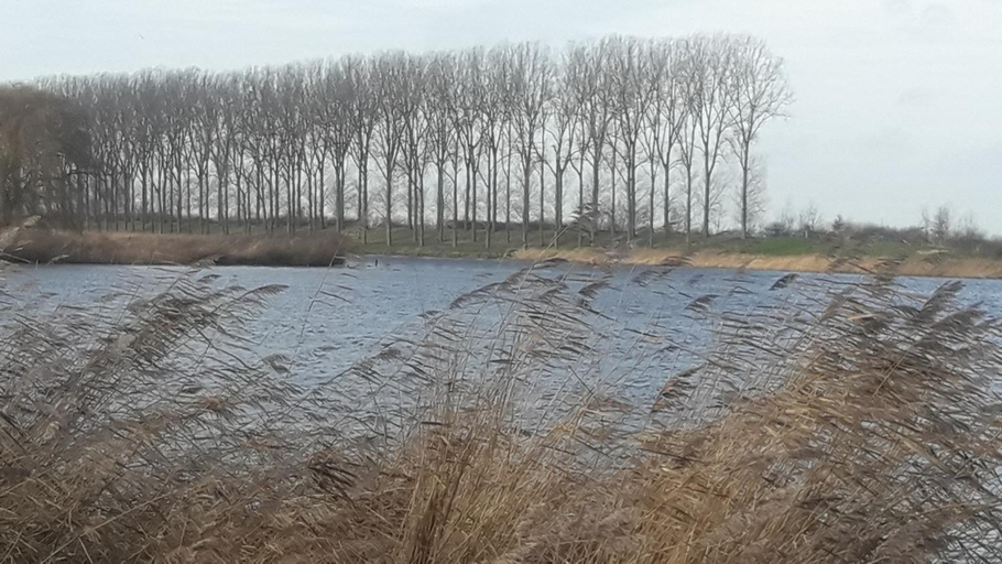 Others 5, B&B De Hemelse Polder, Oost-Vlaanderen