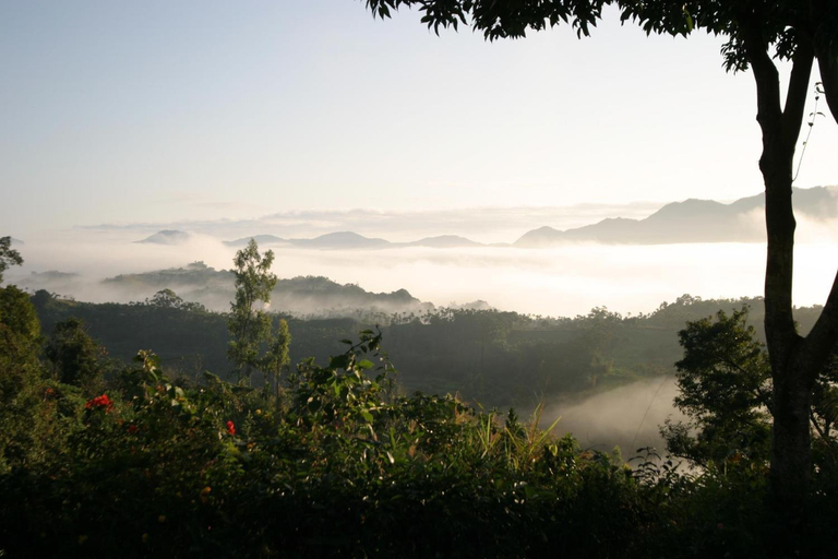 3, Sao Ba Ding Homestay, Hualien