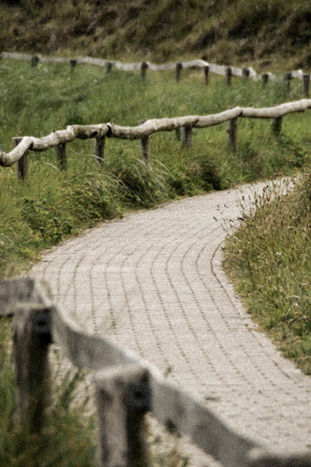 Others 5, Slufterhoeve, Texel