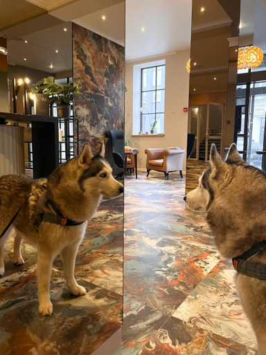 Public Area 3, Mercure Klaipeda City, Klaipėdos