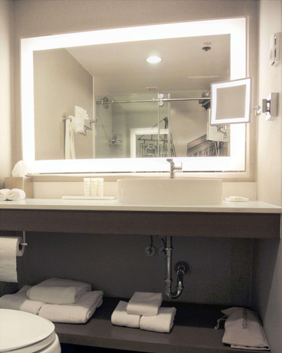 Bathroom 4, Radisson Blu Fargo, Cass