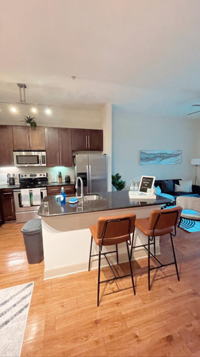 Others 2, 2bedroom 1Bath 10 mins to Texas Medical, Harris