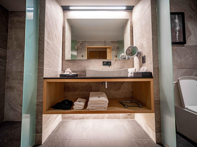 Bathroom 5, Galeria Plaza San Jeronimo, Mexico City