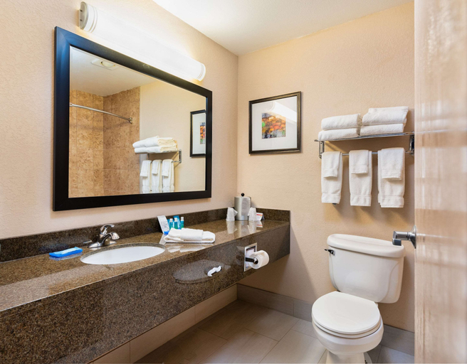 Bathroom 4, Country Inn & Suites by Radisson, South Haven, MI, Van Buren