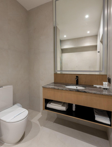 Bathroom 4, Evropa Hotel, Bishkek