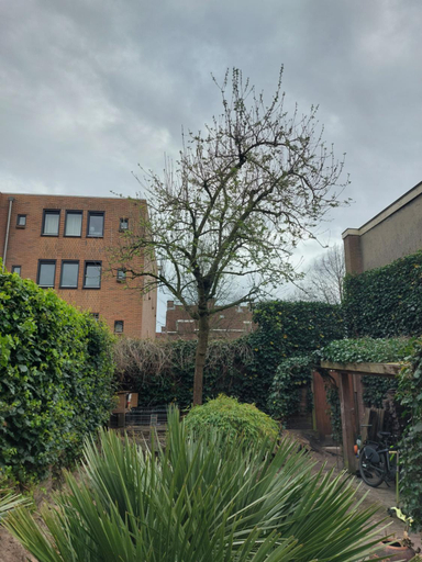 Others 4, Saya Boutique Hotel, Amersfoort