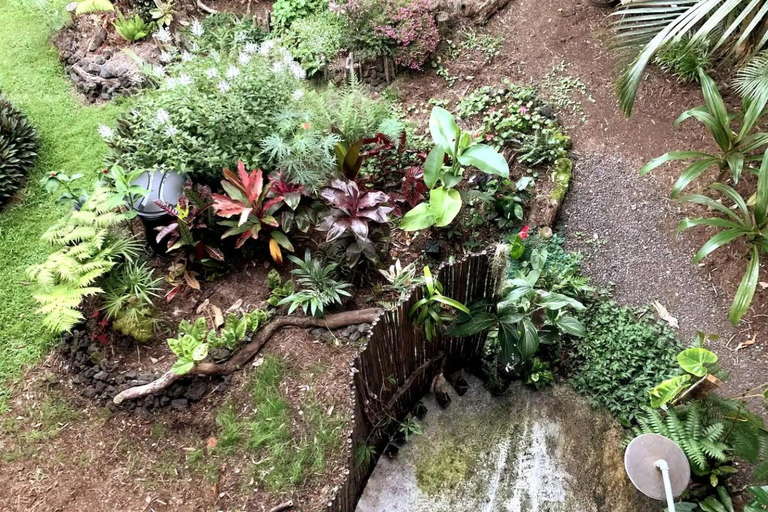 Others 5, Phoenix Garden, Hawaii