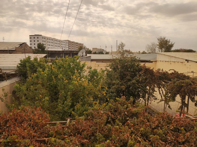 Others 2, Al Mirjon, Buxoro