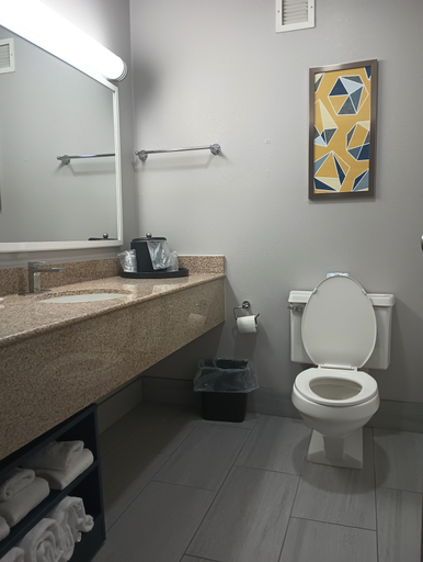 Bathroom 4, Comfort Inn & Suites, Broome