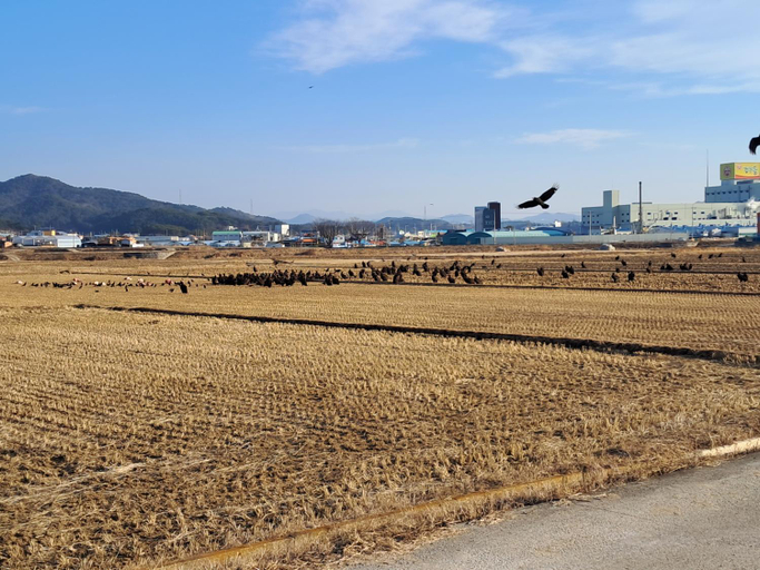 Others 2, Iryang Stay, Goseong