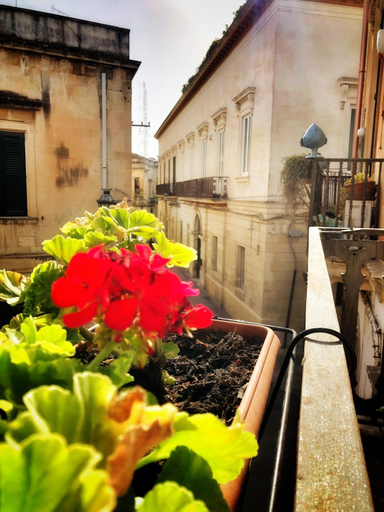 Others 4, Palazzo Salìa, Lecce