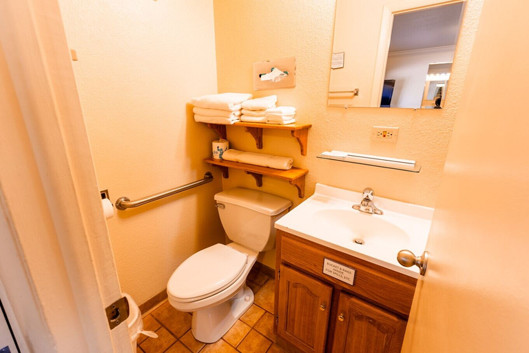 Bathroom 4, Woodland Motel, Chaffee