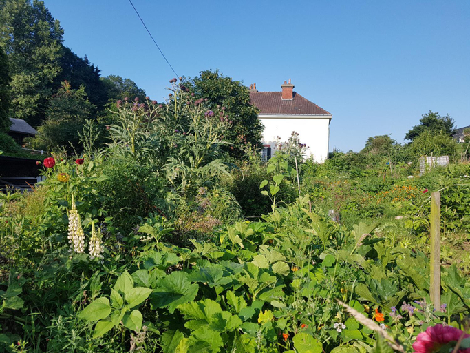 Others 2, LES LUPINS, Seine-Maritime