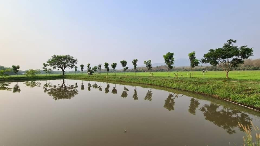 Scenery 12