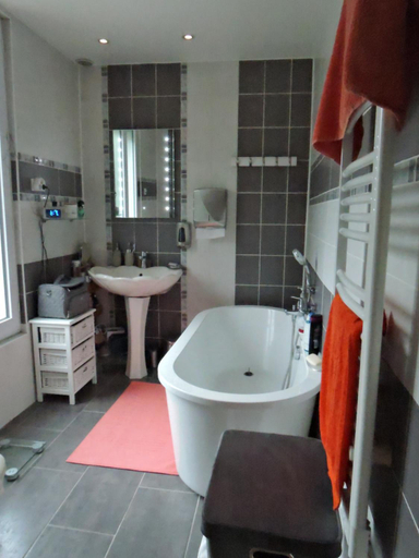 Bathroom 3, LES PINGOUINS DE LA MARNE, Val-de-Marne