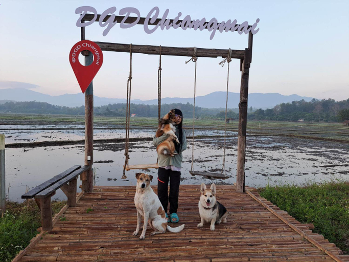 Scenery 14