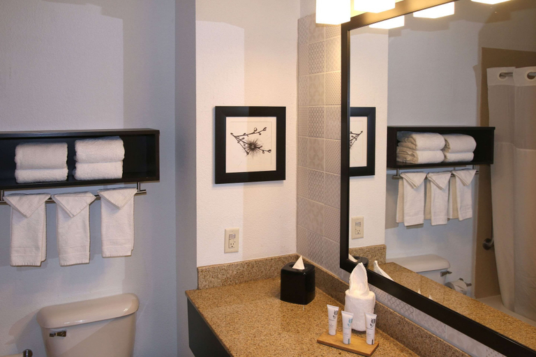 Bathroom 4, Country Inn & Suites by Radisson, Wilson, NC, Wilson