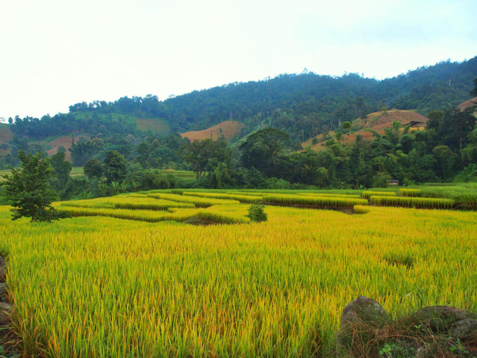 Kowit Maechaem Farmstay, Mae Chaem