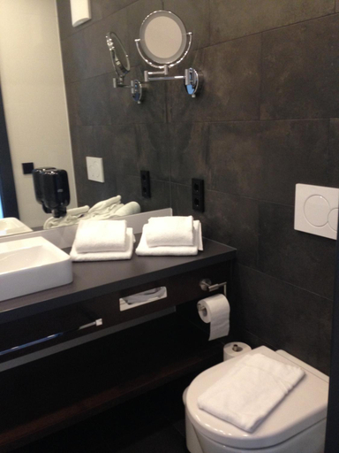 Bathroom 4, HOTEL DONAUHOF, Linz Land