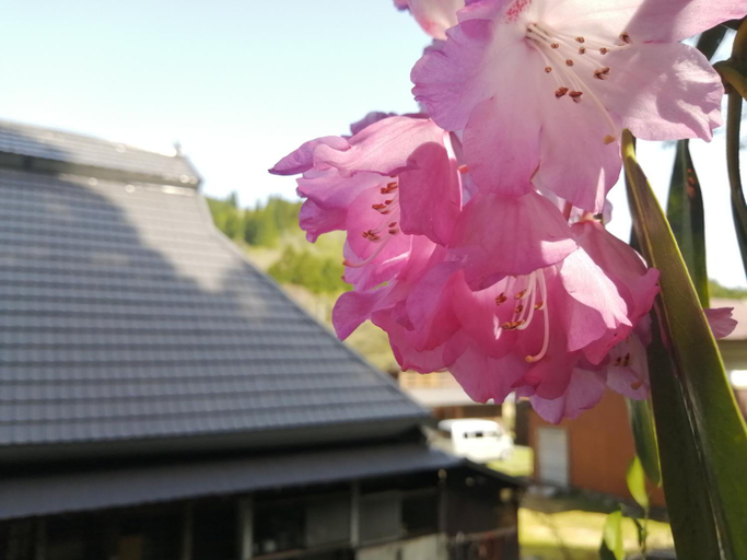 Exterior & Views 1, Kutsuki Saba Kaido Old House Cocco Koiriya, Takashima