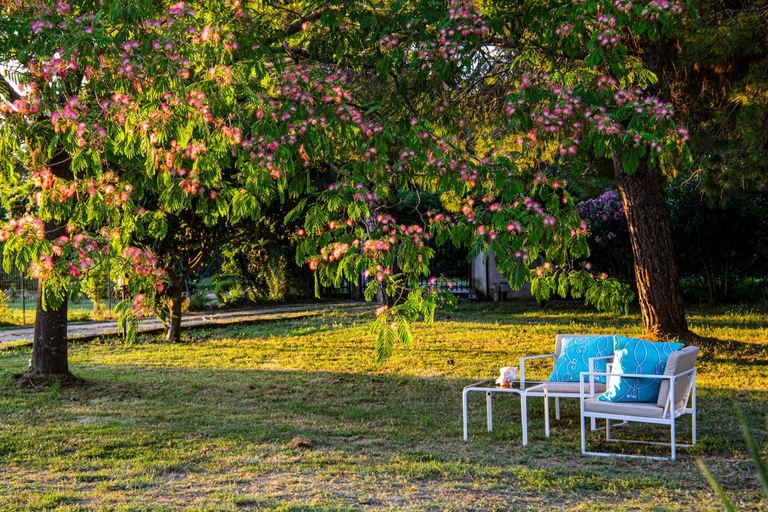Others 5, Casa Sophie Affittacamere, Ancona