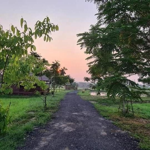 Scenery 13