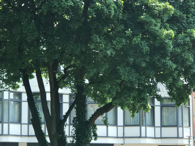 Others 2, Gastezimmer Klein und Fein fur nach dem Wein, Bernkastel-Wittlich