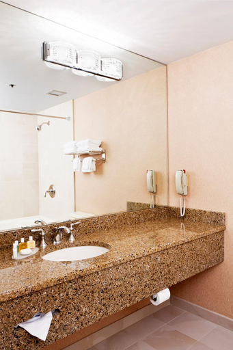 Bathroom, Ann Arbor Regent Hotel and Suites, Washtenaw
